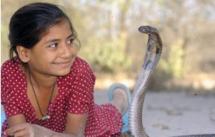 आना इस गांव सांप लेके लाडो
