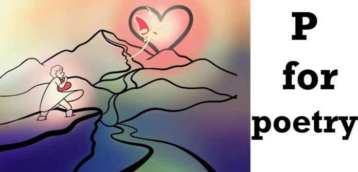 journey of platonic love