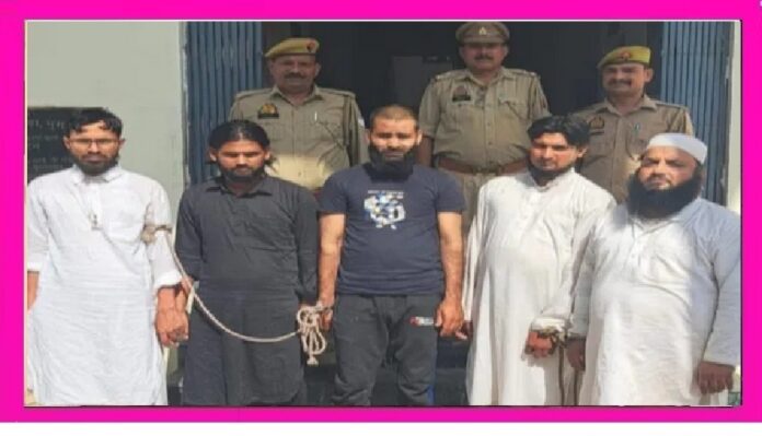 आओ, दफीना खोदें