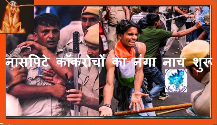 कॉकरोच अब शुरू करेंगे नये किसम की नौटंकी